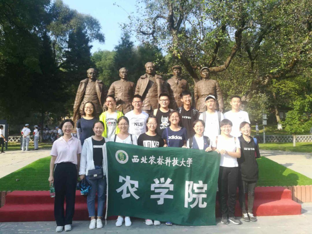 新夺宝英雄